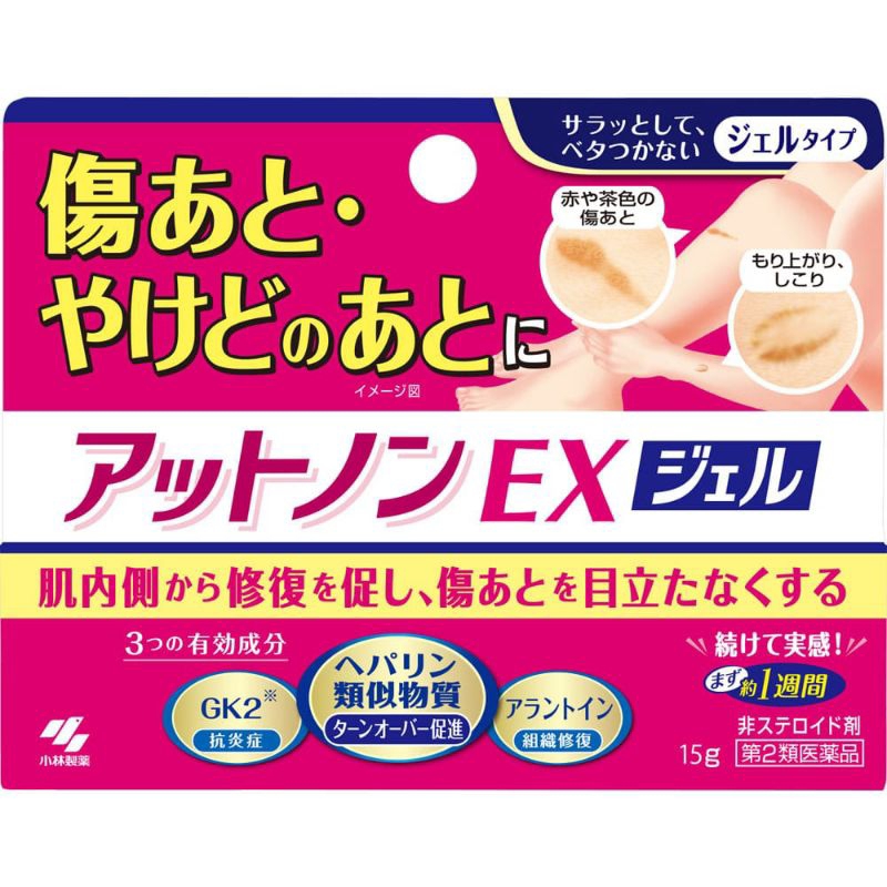 Jual Kobayashi Pharmaceutical Atnon EX Gel 15g// SALEP GEL KOBAYASHI ...