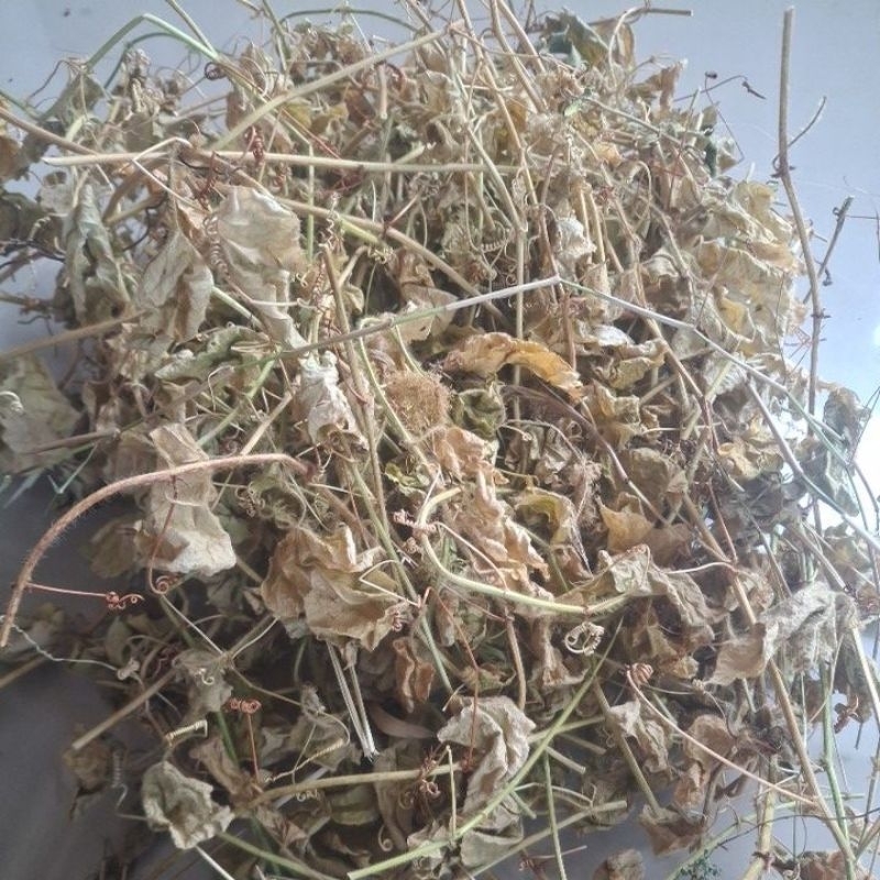 Jual DAUN RAMBUSA KERING 100 GRAM | Shopee Indonesia