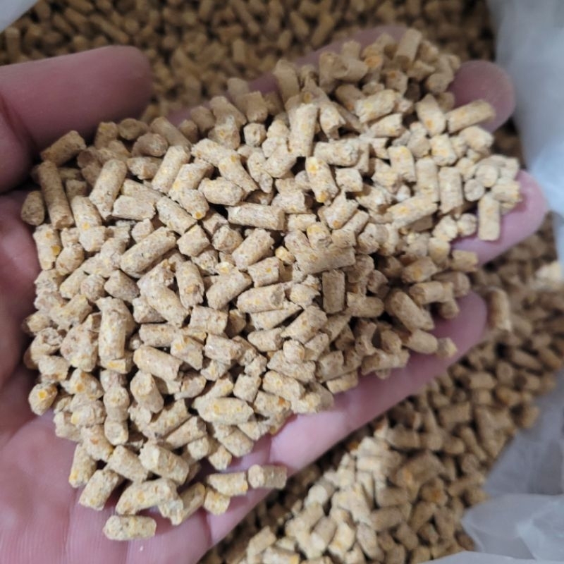 Jual PAKAN AYAM PUR AD 2 _ JAPFA COMFEED KILOAN | Shopee Indonesia