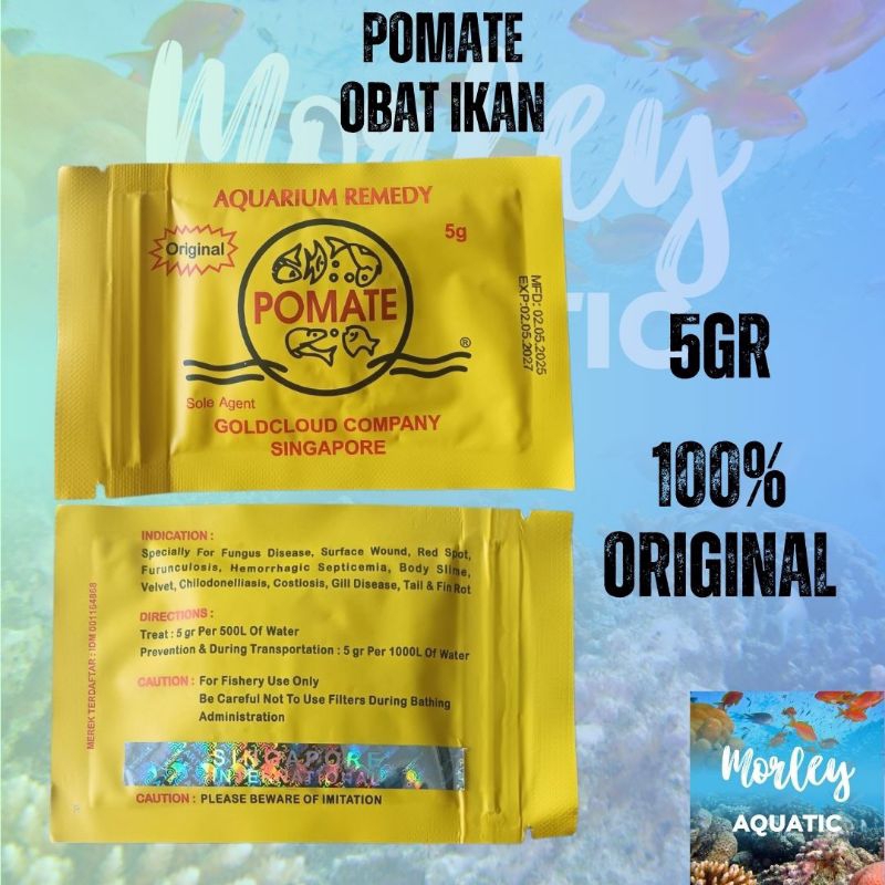 Jual POMATE OBAT IKAN ORIGINAL 5GR SINGAPORE INTERNATIONAL | Shopee ...