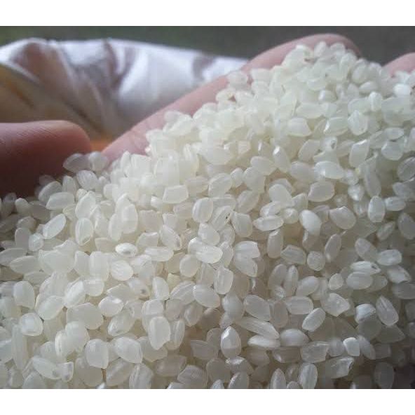 Jual JAPONICA RICE TARABAS | BERAS JEPANG SUTEKI 10 KG - BERAS JEPANG ...