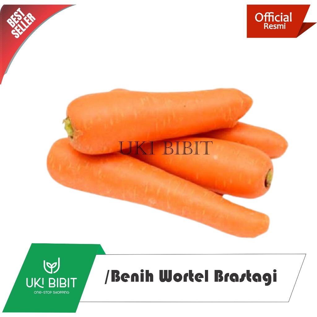 Jual ( 200 Butir ) Benih Biji Wortel Brastagi | Wortel Berastagi ...