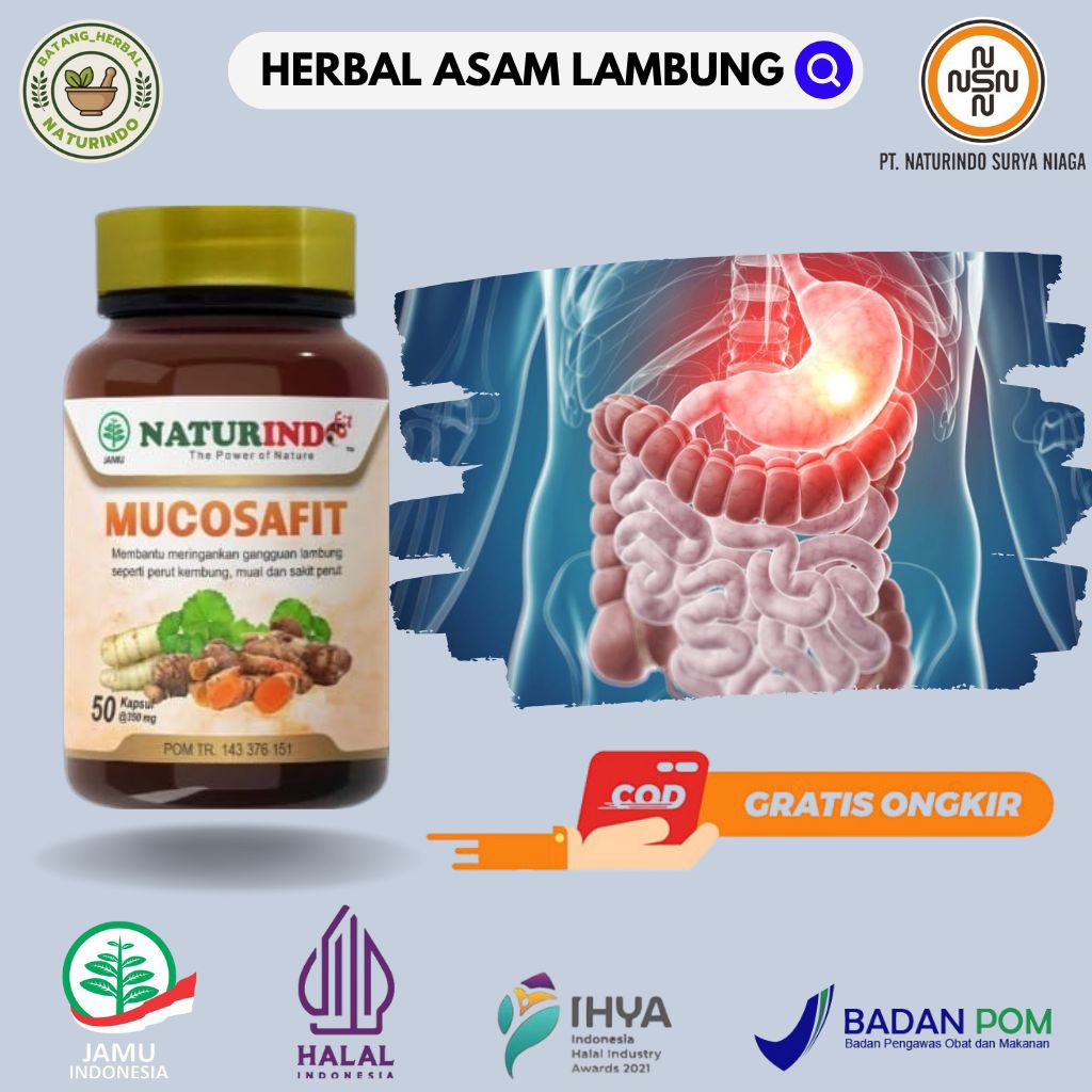 Jual Obat Asam Lambung Maag Herbal Ampuh Asam Lambung Maag Gerd Kronis ...