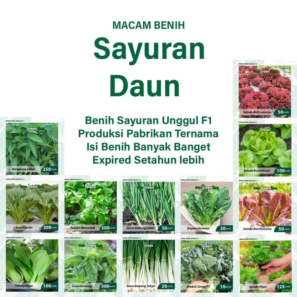 BENIH SERIBUAN - Macam Macam Benih Sayuran Daun Hibrida F1 Variasi Unggul