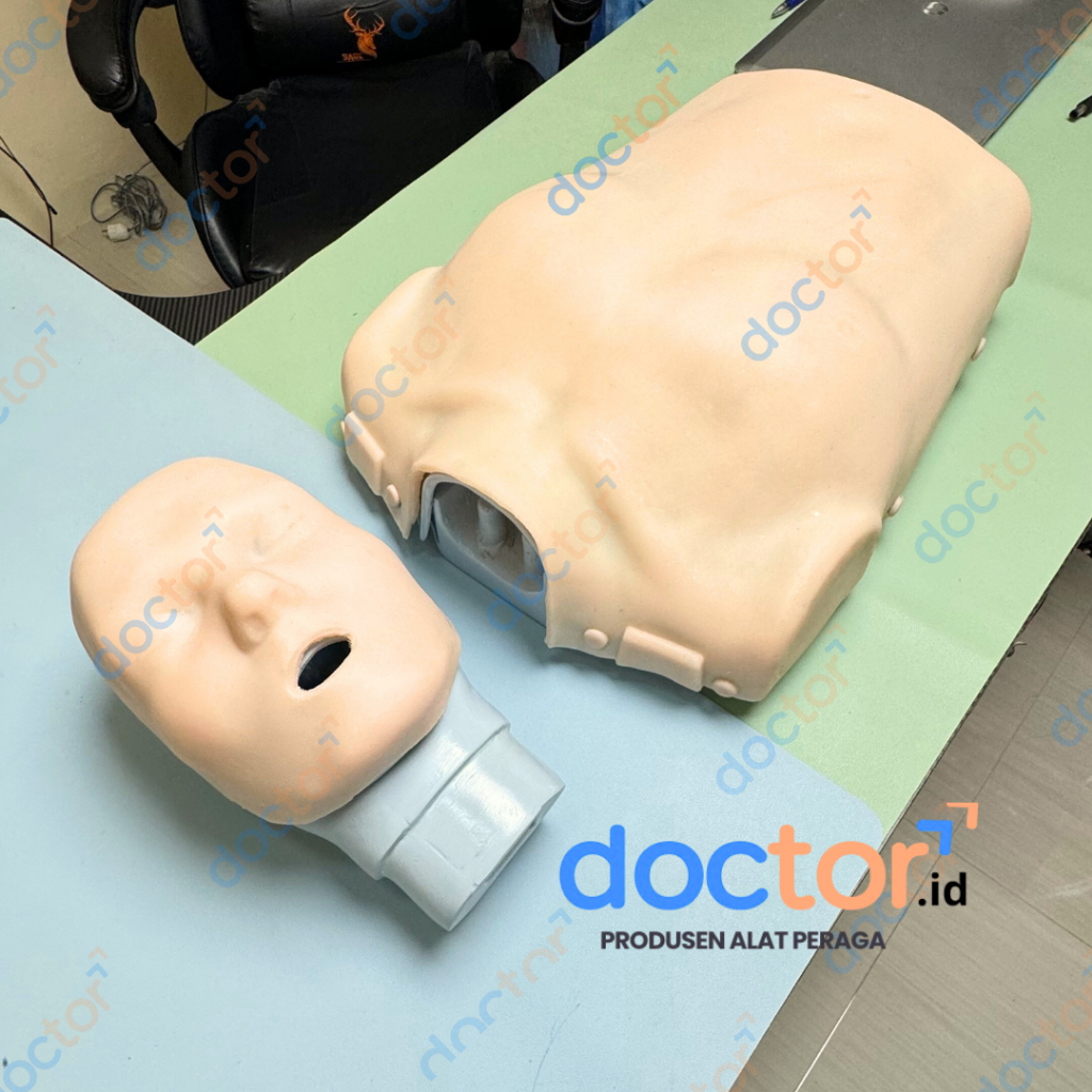 Jual [doctor] BHD-RJP-CPR /Phantom Manikin/Manekin-Alat Peraga ...