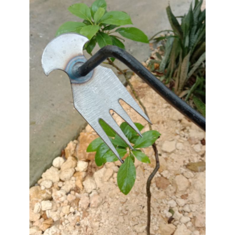 Jual pencabut rumput skop keci gagang kayu pembersih halaman | Shopee ...