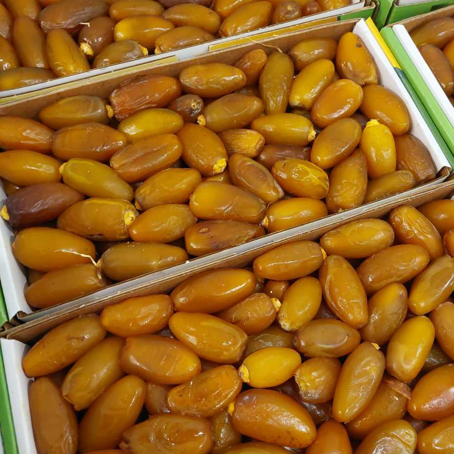 Jual Kurma Ruthob Muda Libya Promil Rasa Sepet Manis Kemasan 1kg ...