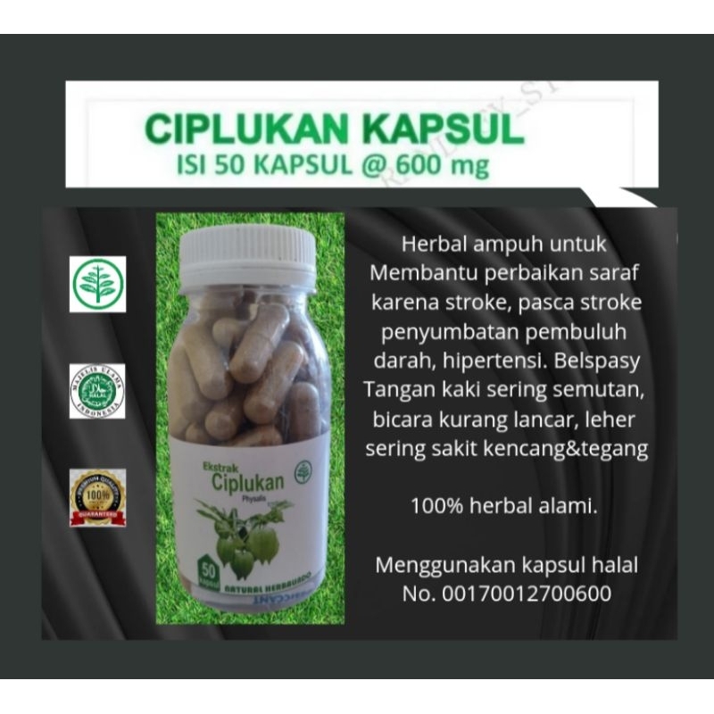 Gejala stroke, penyumbatan darah, kolesterol herbal CIPLUKAN 50 kapsul