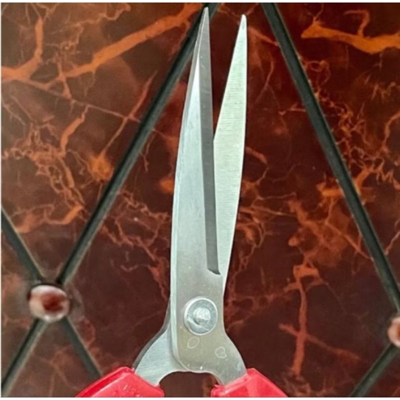 Jual MASSAKI Gunting KULIT GG MERAH STAINLESS STEEL 8” = 20cm gagang ...