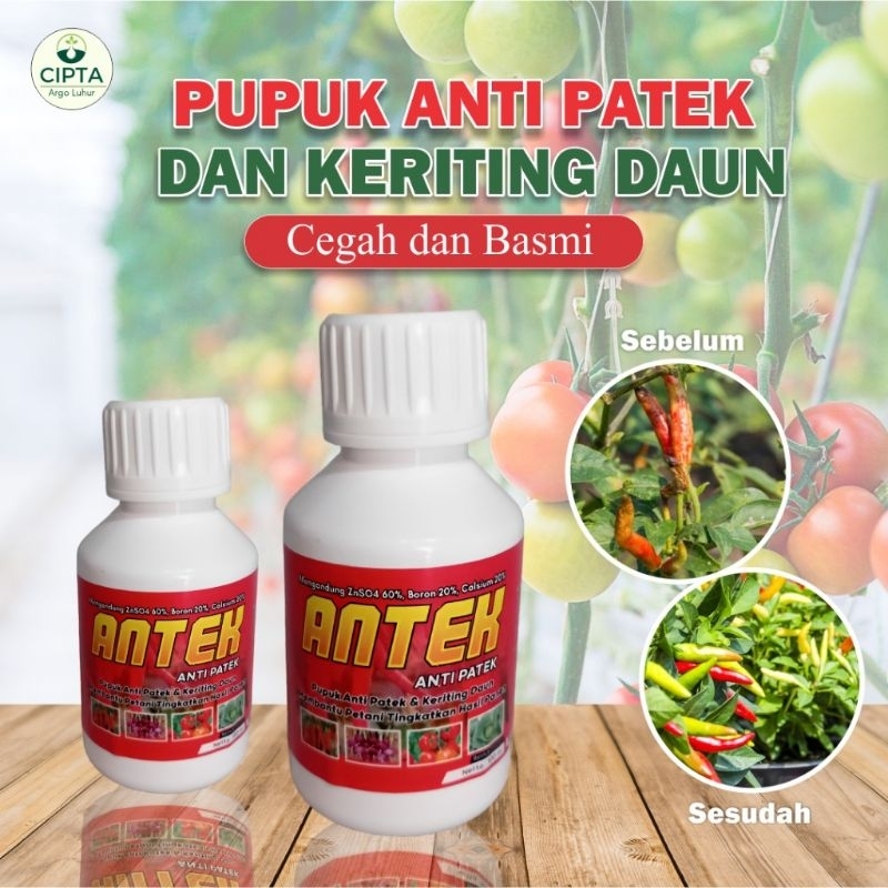 Paket ANTEK Siap Kirim Ke Petani
