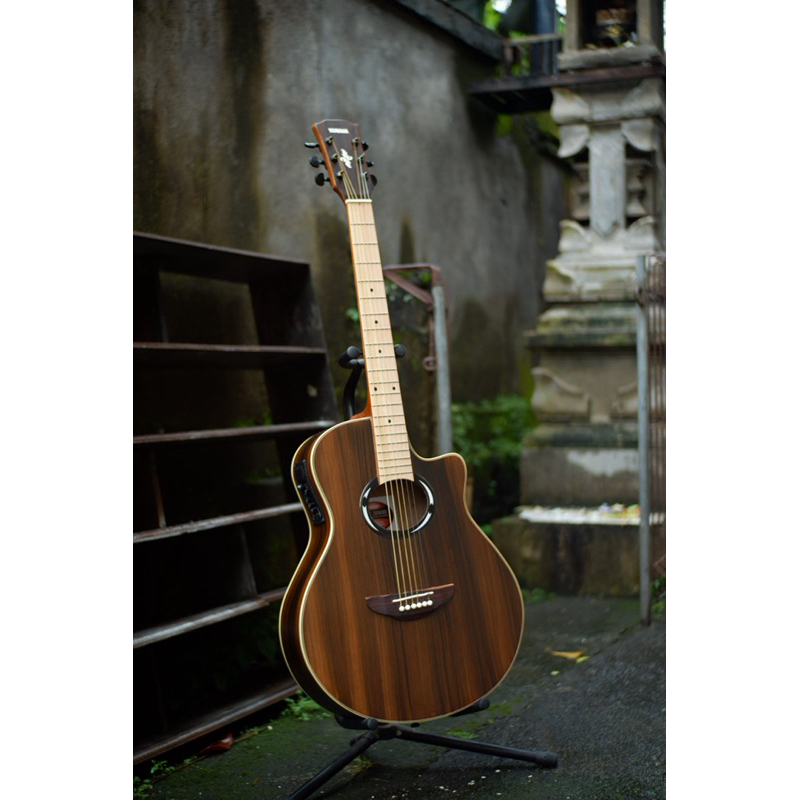Jual gitar pemula, gitar akustik / gitar elektrik / gi…