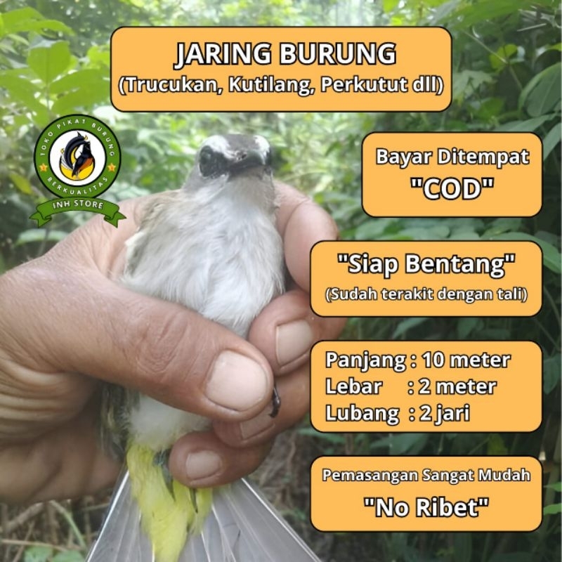 Jual JARING BURUNG CRUCUK TRUCUK JARING 2 IN JARING SIAP PAKE JARING ...