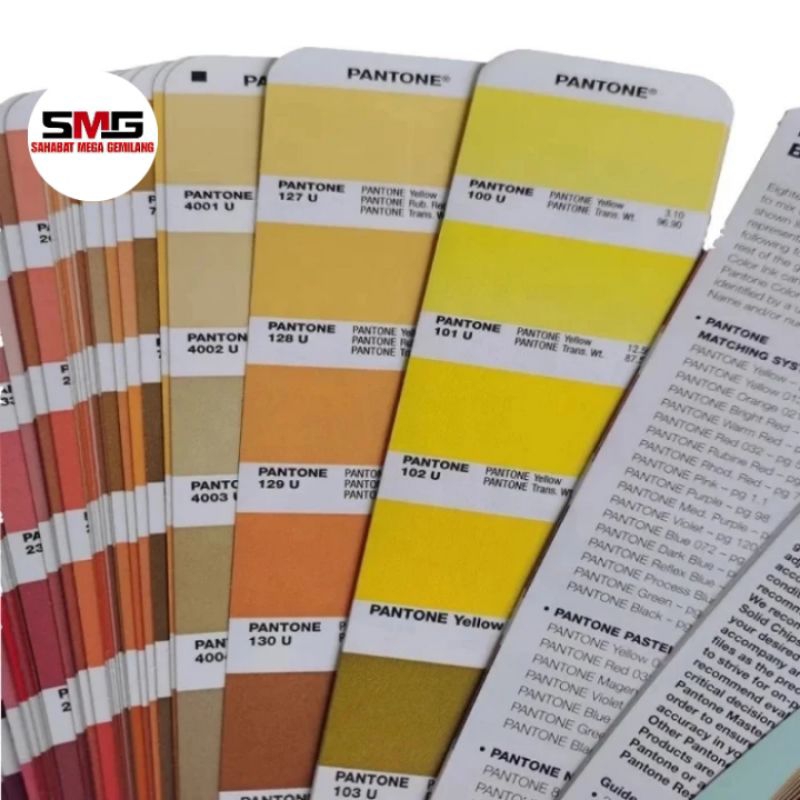 Jual PANTONE Color Guide Card International Standard Matte Warna ...