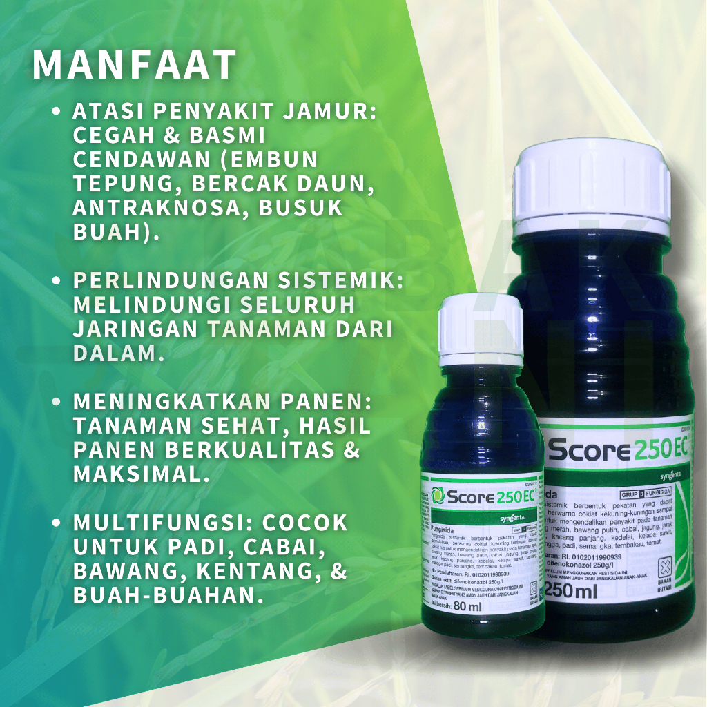 Jual Score 250 EC Fungisida + ZPT Pengendali Penyakit Tanaman 250 ml ...