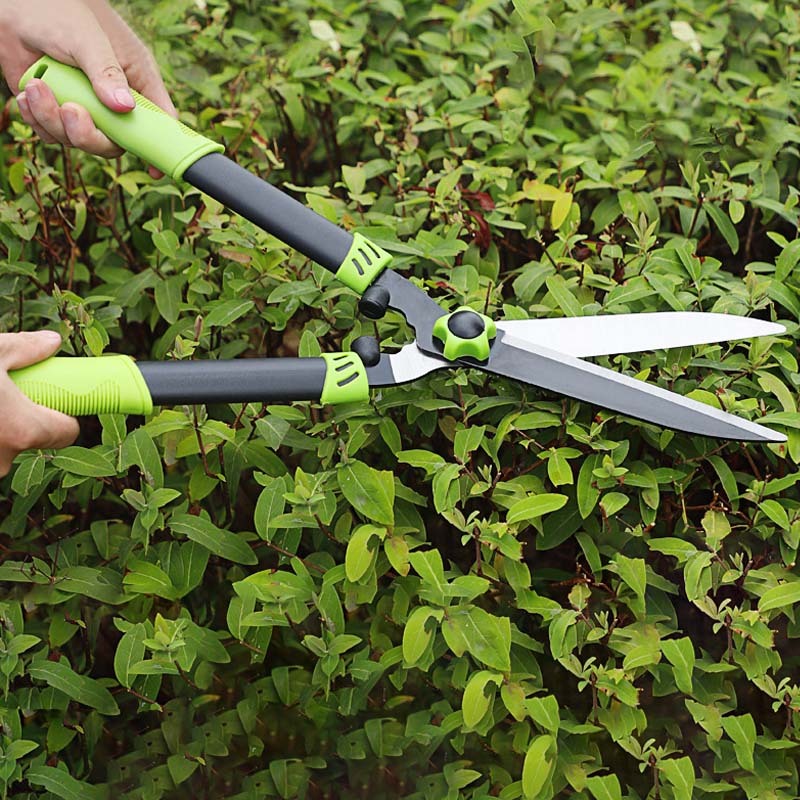 Jual Gunting Rumput Taman Gunting tanaman gunting pangkas daun rumput ...