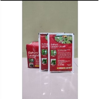 Qozoq ayollari eng yaxshi jinsiy aloqaga ega