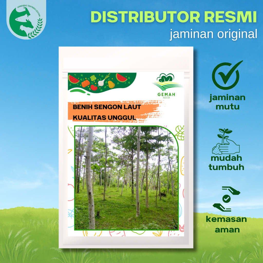 Benih Sengon Laut Kualitas Unggul 15 gram Gemah SEED Ratusan Biji Cepat Besar
