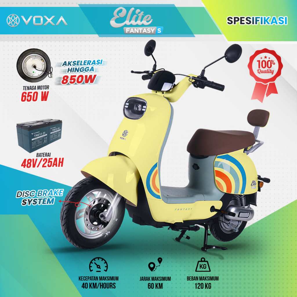 VOXA Sepeda Listrik Elite Fantasy S Terbaru motor 650 watt 150KG Dewasa anak baterai 48v/12ah