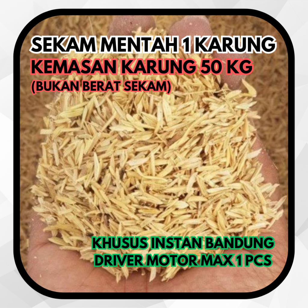 Media Tanam 1 KARUNG Sekam Mentah Murni Padi