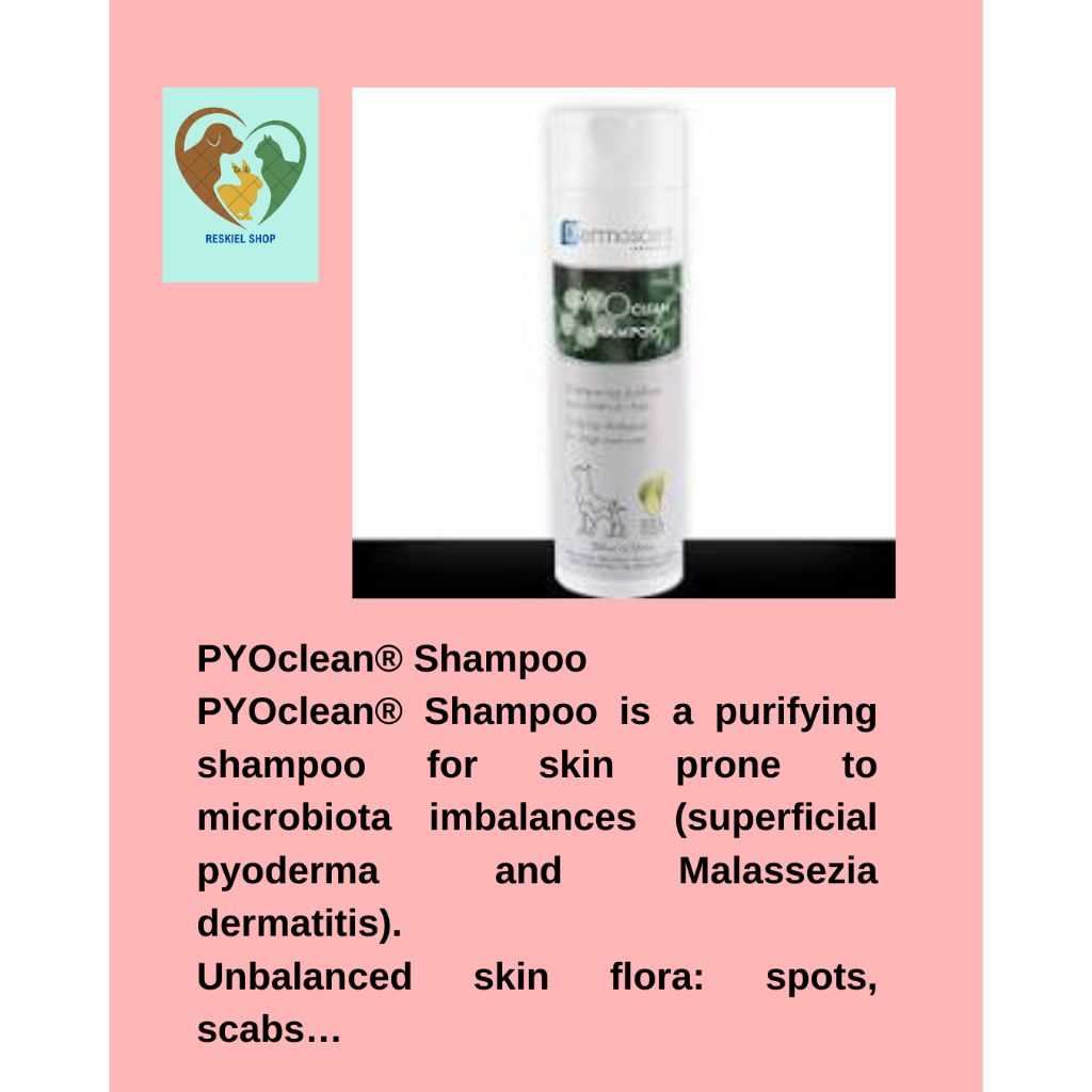 Jual Dermoscent Pyo Clean Shampo 200 Ml Hijau Original | Shopee Indonesia