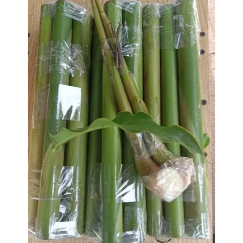 Jual BATANG POHON KECOMBRANG HIJAU 1 KG PRES #HONJE #ASAM CIKALA # ...