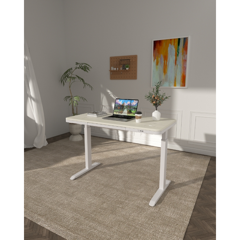Jual SILVANT Ergonomic Office Desk Eco-friendly Wooden Desktop With ...