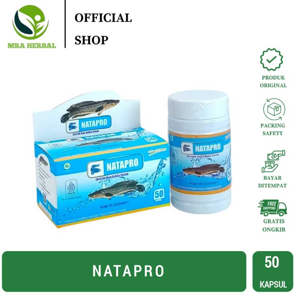 Jual Natapro Pro Albumin Ashihah | Pro Albumin Kapsul Ikan Gabus - 50 ...