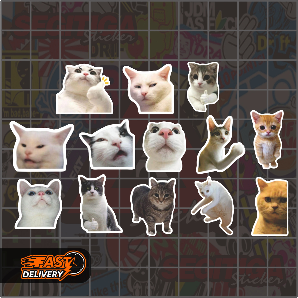 Jual Sticker Pack Kucing Lucu Meme | Shopee Indonesia