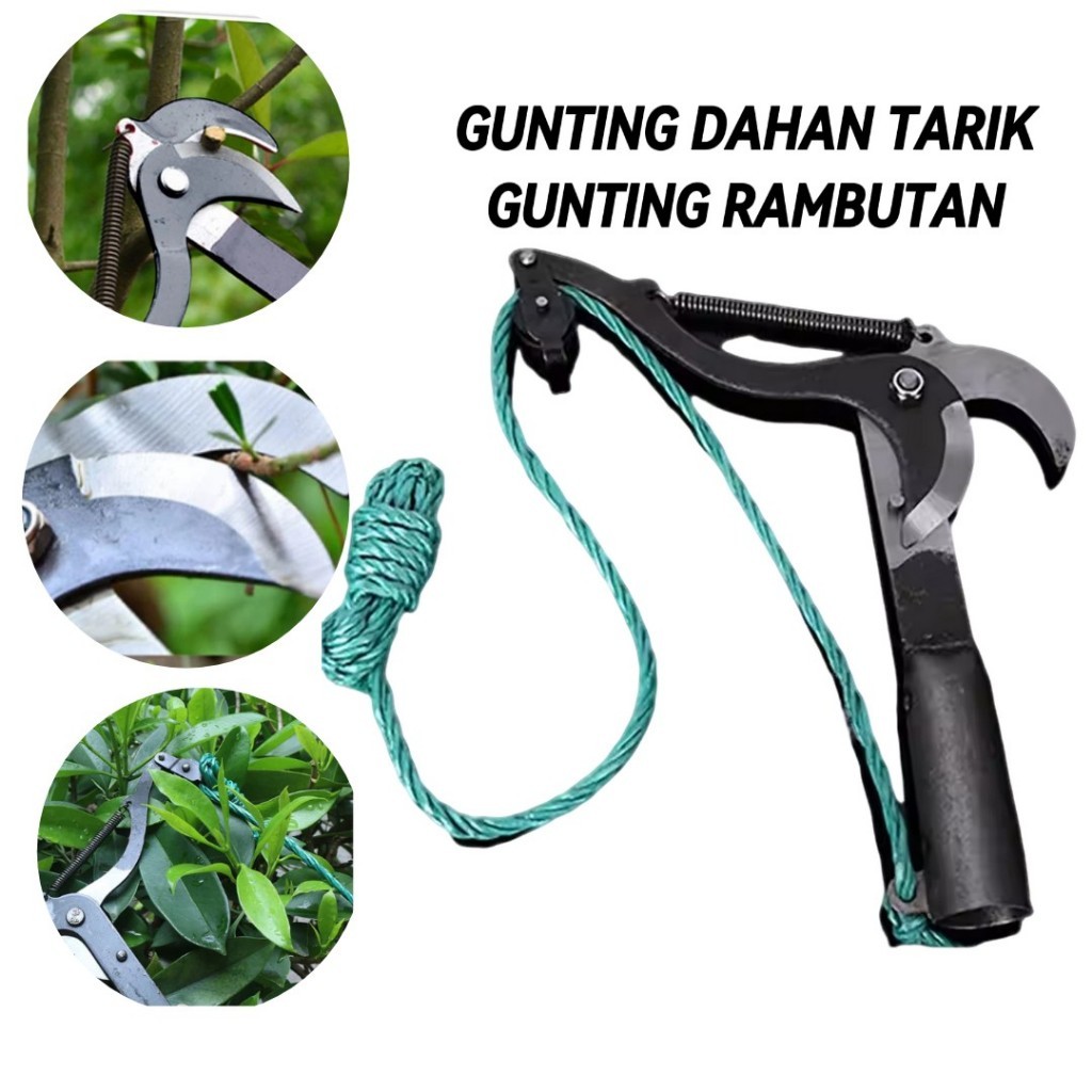 Jual GUNTING DAHAN TARIK / GUNTING RAMBUTAN ALAT POTONG RANTING POHON ...