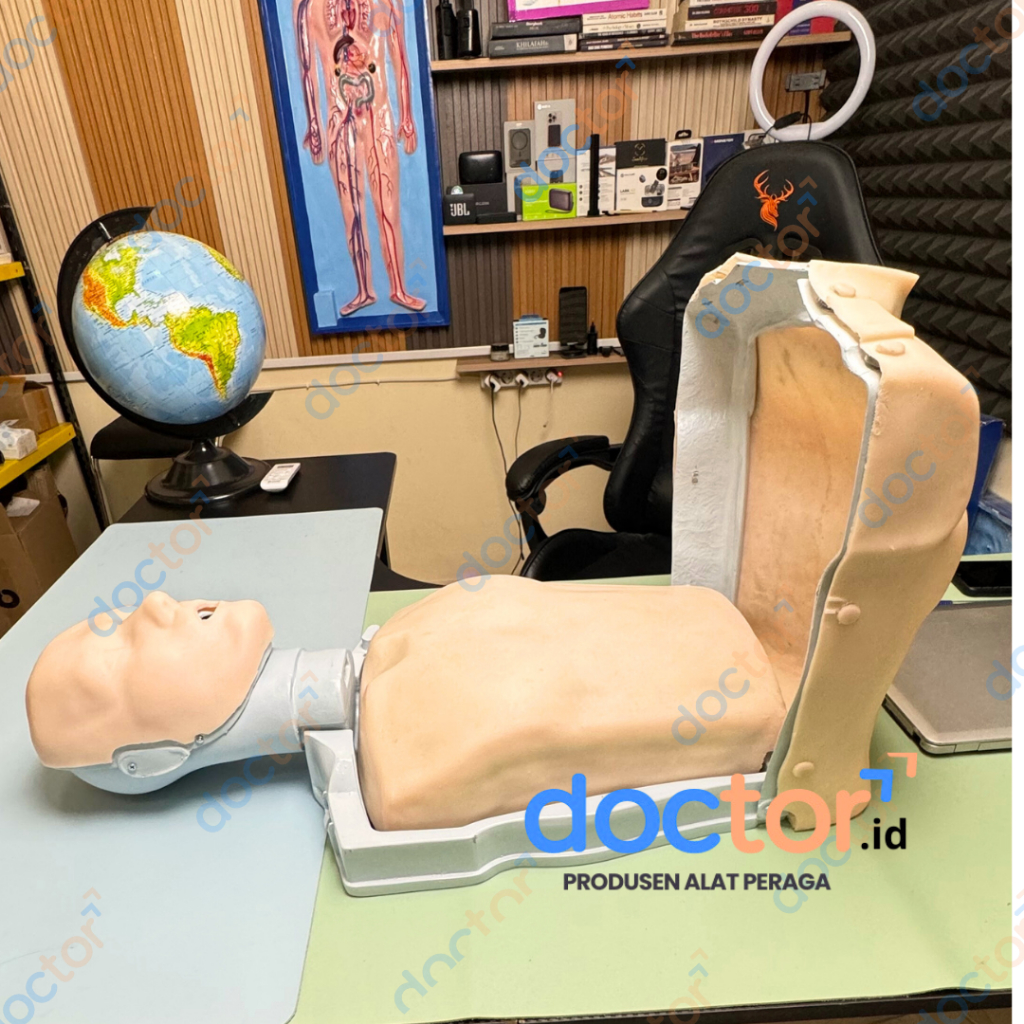 Jual [doctor] BHD-RJP-CPR /Phantom Manikin/Manekin-Alat Peraga ...