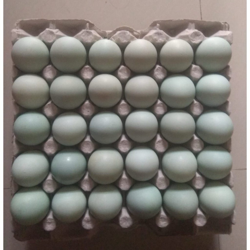 Jual RAJATELUR | Telur Bebek Omega | Per 10 & 30 Butir | Shopee Indonesia