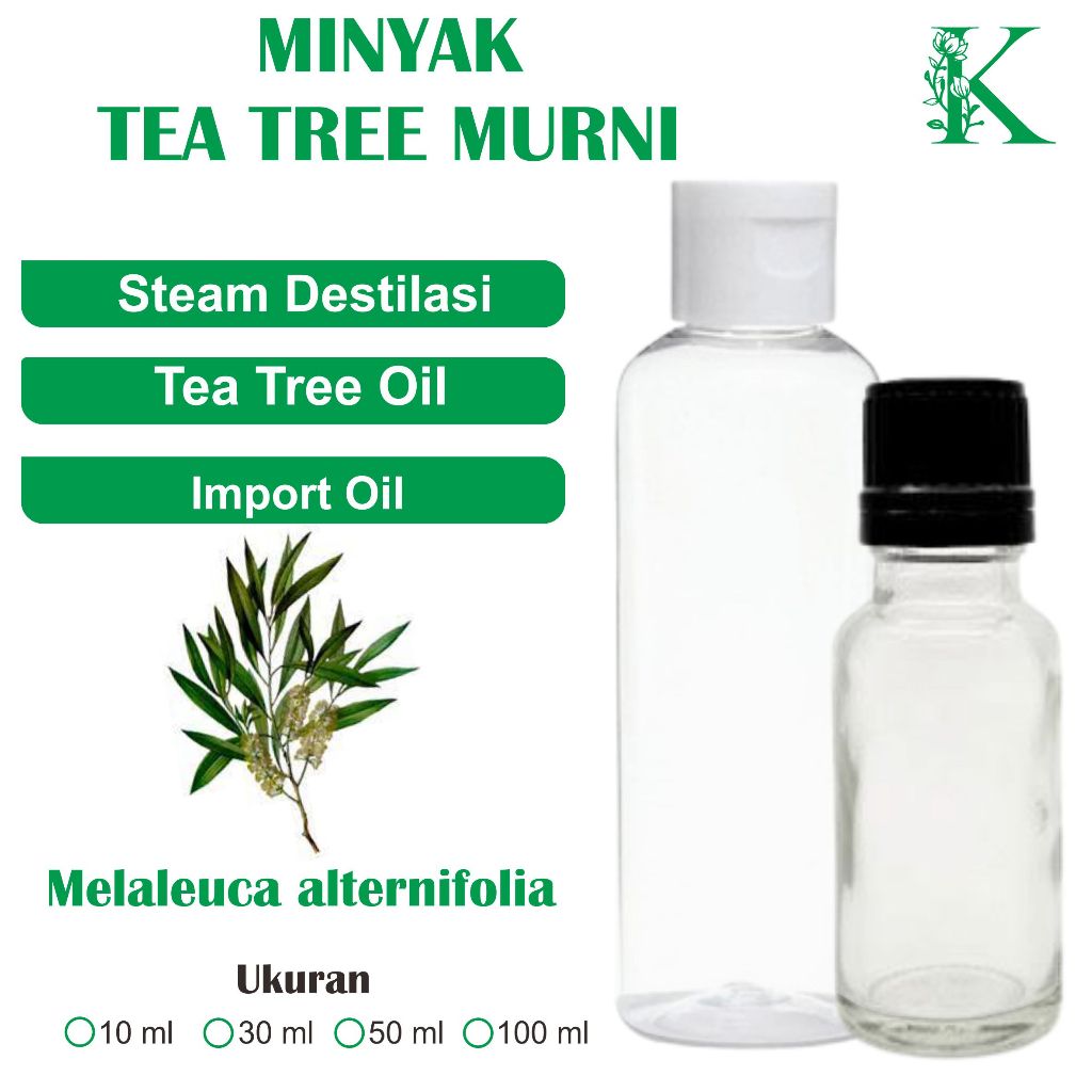 Jual minyak daun teh murni tanpa campuran tea tree oil pure minyak ...