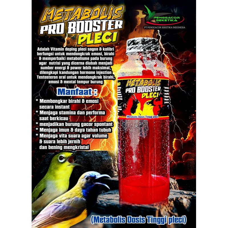 Bigboostcasinovilkarogbetingelser