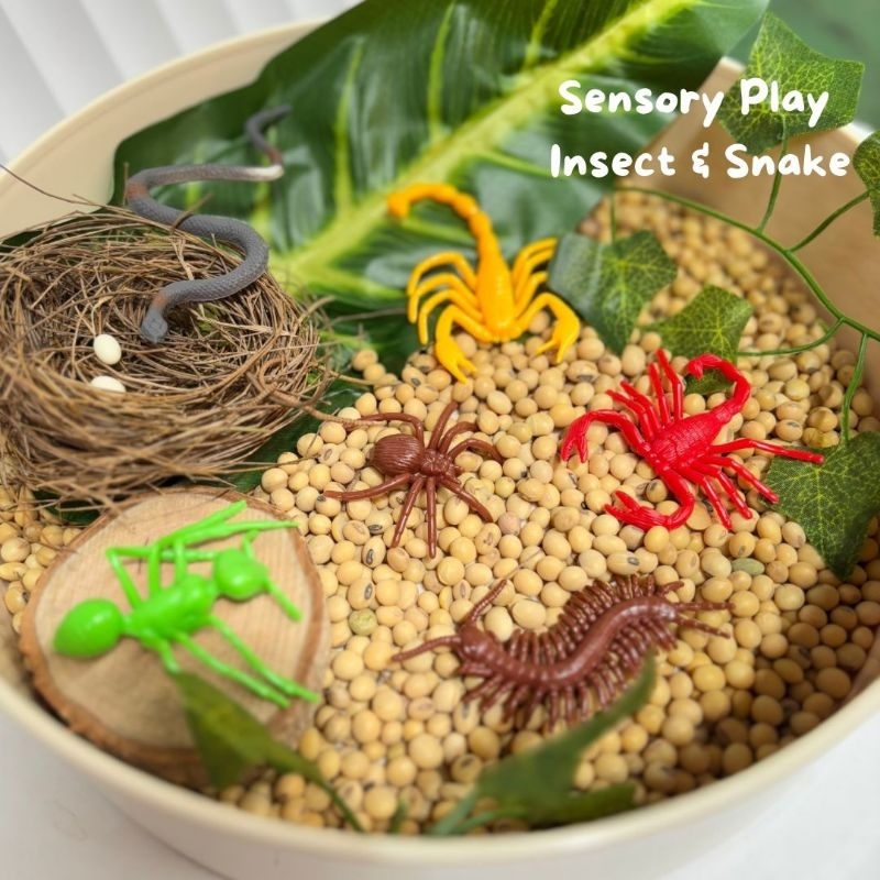Jual Insect & Snake Sensory Play / Mainan Sensory / Miniatur Serangga ...