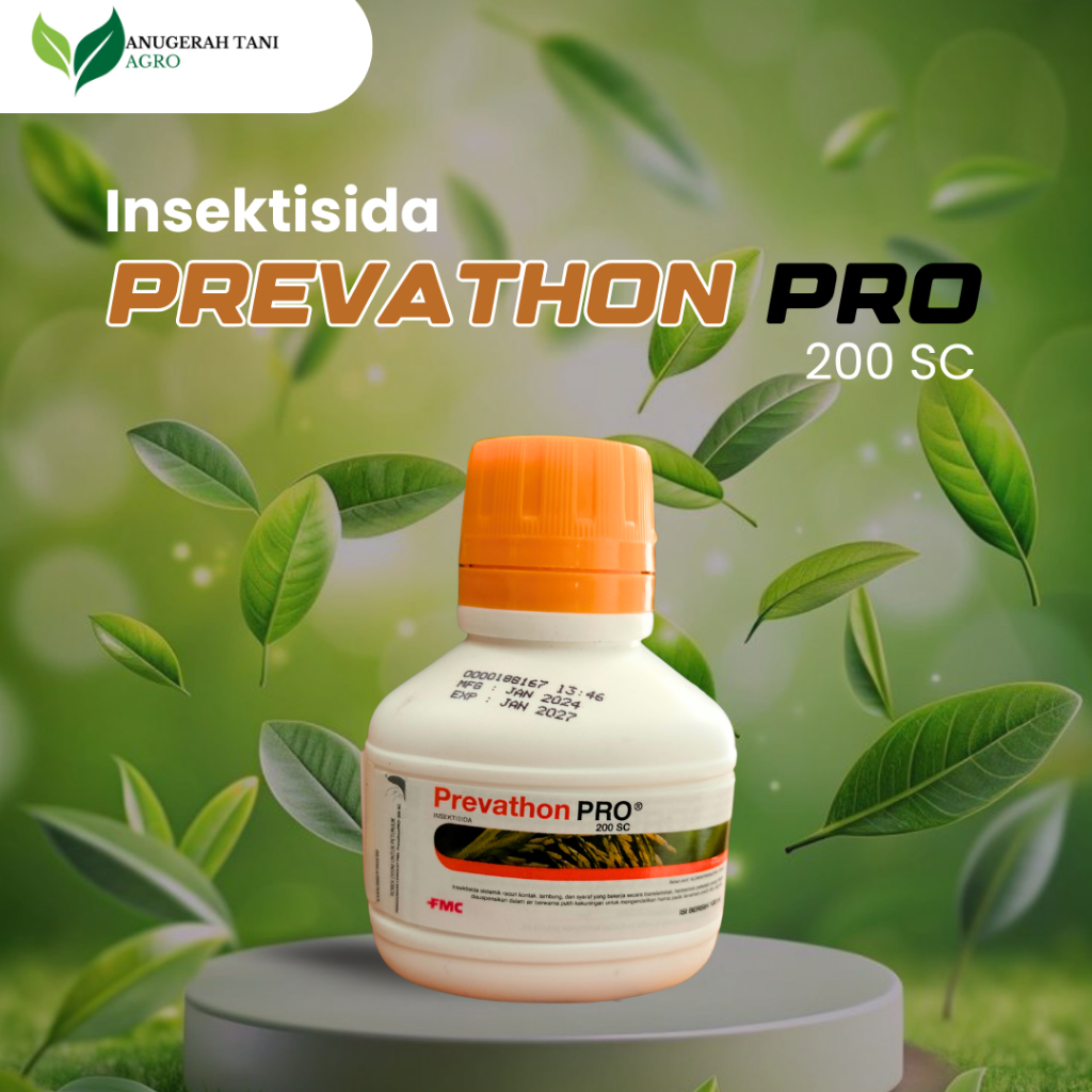 Jual PREVATHON PRO Insektisida 200 SC Mengatasi Hama Sundep pada ...