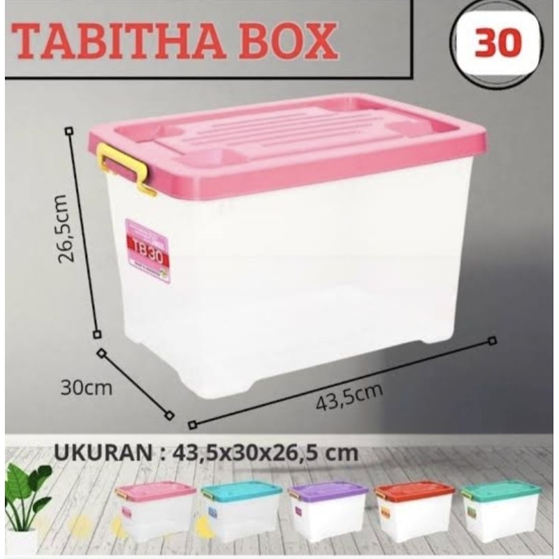 Jual CONTAINER BOX TABITHA BOX 30 LITER TEMPAT PENYIMPANAN SERBAGUNA ...