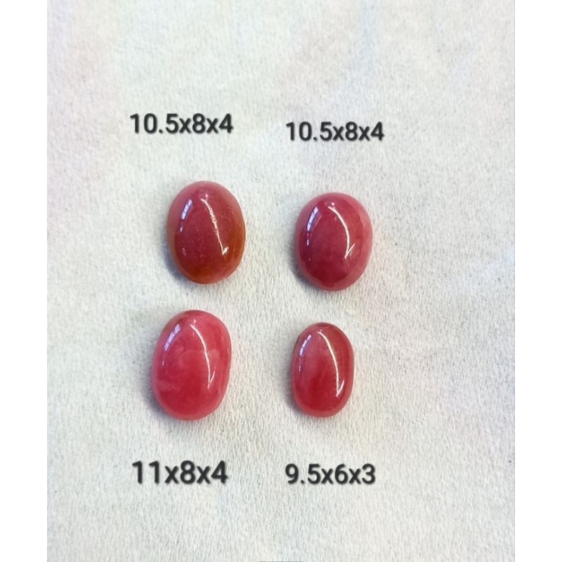 Jual red borneo super | Shopee Indonesia