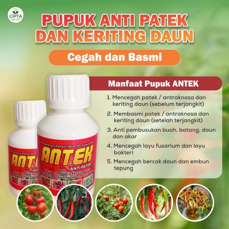Foto Penggunaan ANTEK Anti Patek