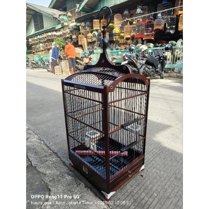 Uning mushuk porno videoda Dik olish