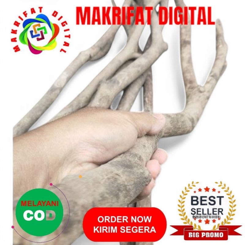 Jual MAKRIFATDIGITAL Palet 1 Batang 2 cm Ranting KAYU.NAGASARI ...