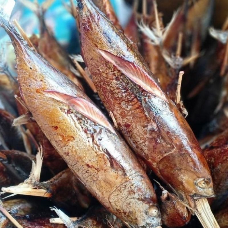 Jual IKAN TONGKOL ASAP BESAR 1PCS FRESH PACKING PLASTIK FAKUM | Shopee ...