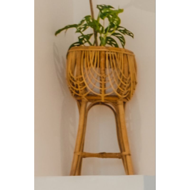 Jual Rattan Plant Pot / Pot Tanaman Rotan | Shopee Indonesia