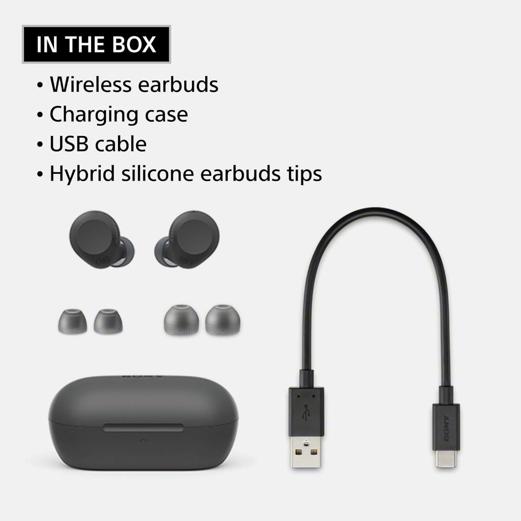Jual Sony WF-C710N C710 710N Noise Cancelling True Wireless TWS ...