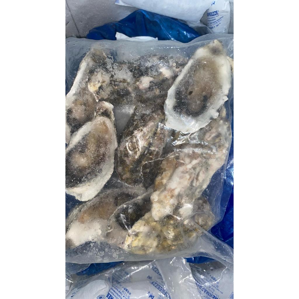 Jual Frozen Oyster Half Shell / Kerang Tiram Beku Belah 10 biji ...