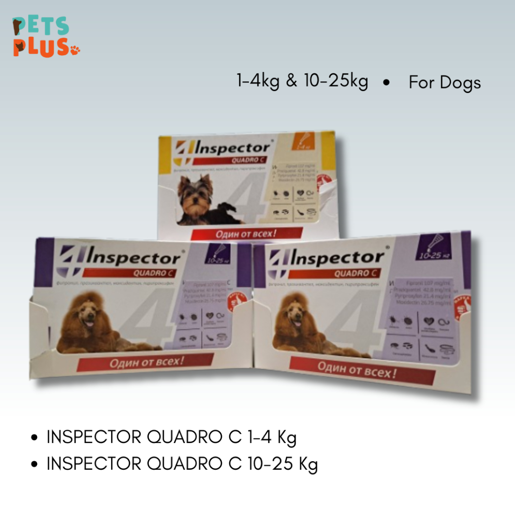 Jual Inspector Quadro Spot-On C For Dog (obat tetes kutu anjing ...