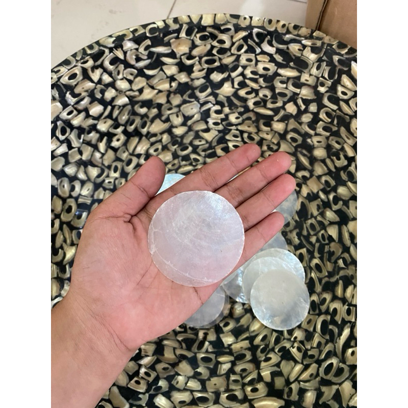 Jual Kerang Capiz_Capiz Shell_Kerang Laut | Shopee Indonesia