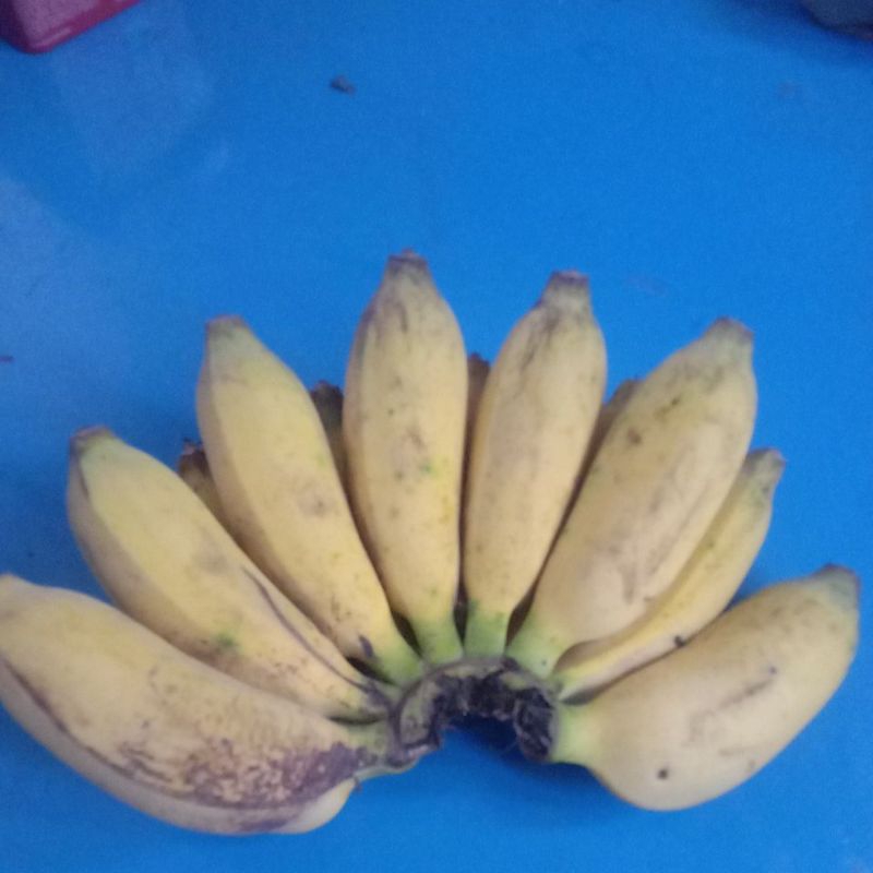 Jual pisang gambok | Shopee Indonesia