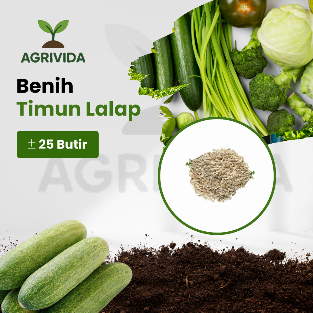 Jual Benih Timun Lalap 25 Butir Cepat Tumbuh | Shopee Indonesia
