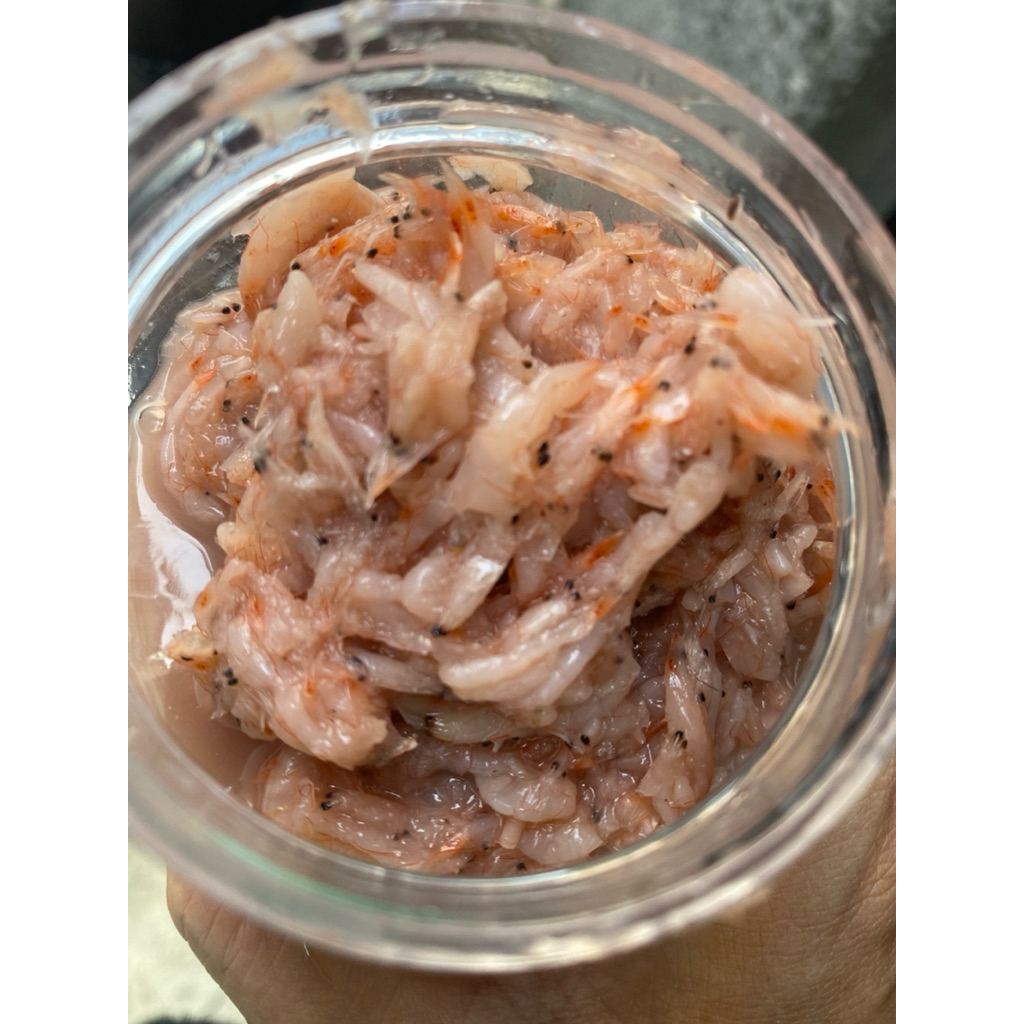 Jual udang asin fermentasi korea / calok udang / cencalok / cincalok ...