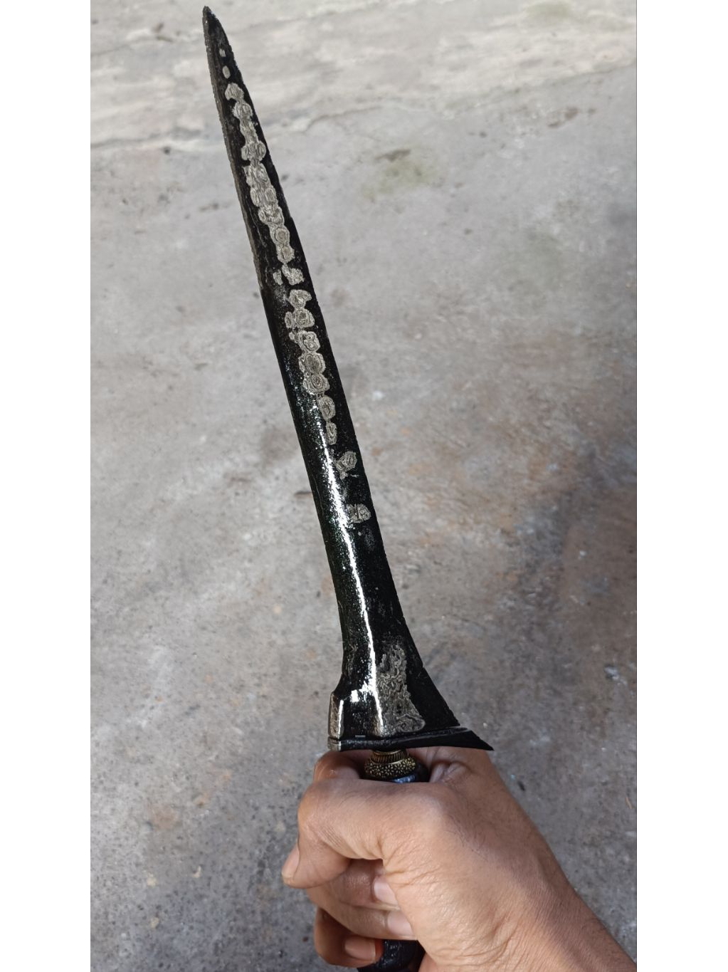 Jual Jalak Uler Lulut | Shopee Indonesia